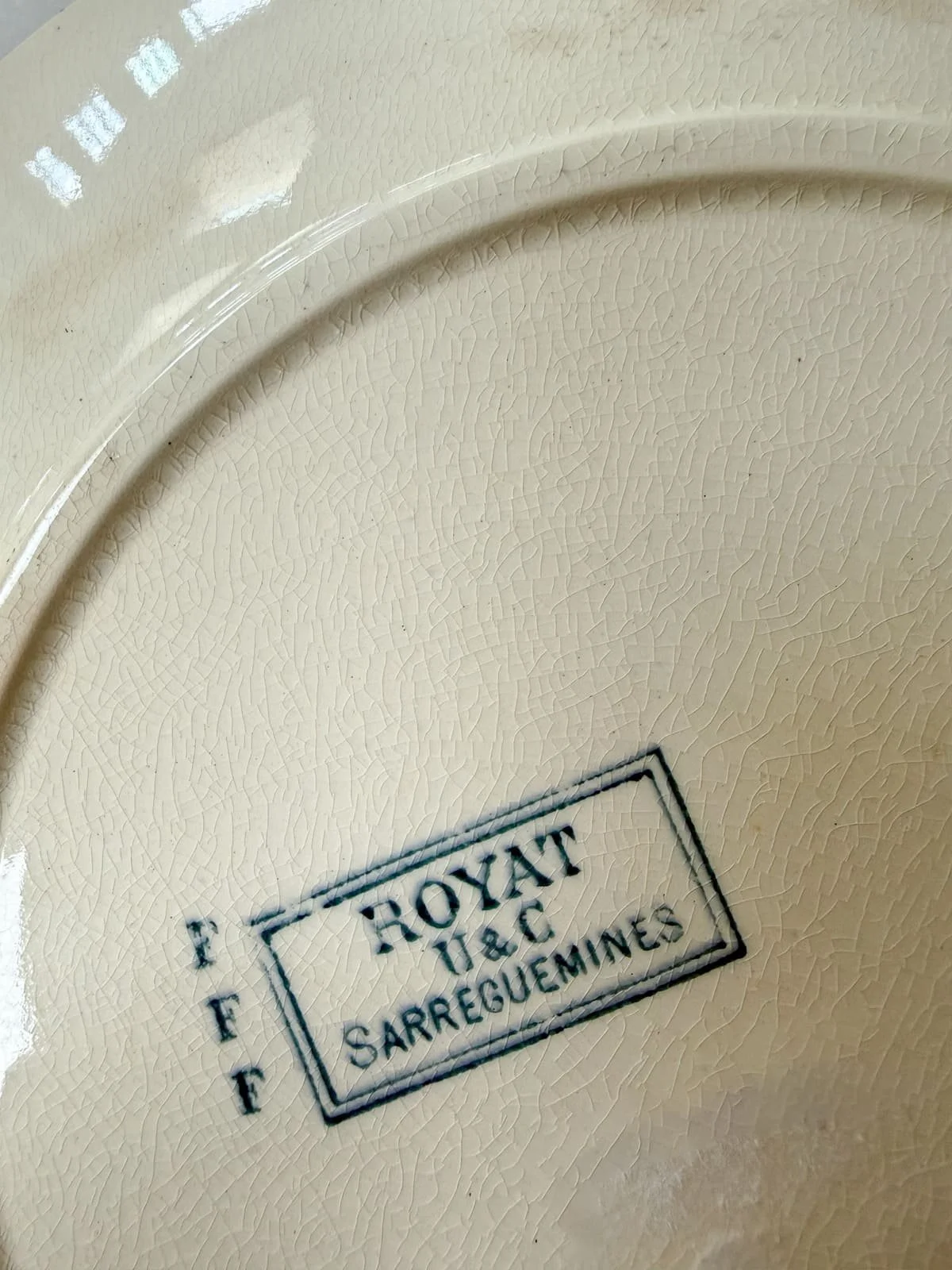 19th Century Antique French Ironstone Blue Floral Terre de Fer Plates